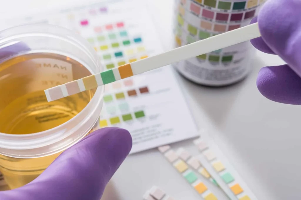 DOT Compliance drug and alcohol testing consortium services